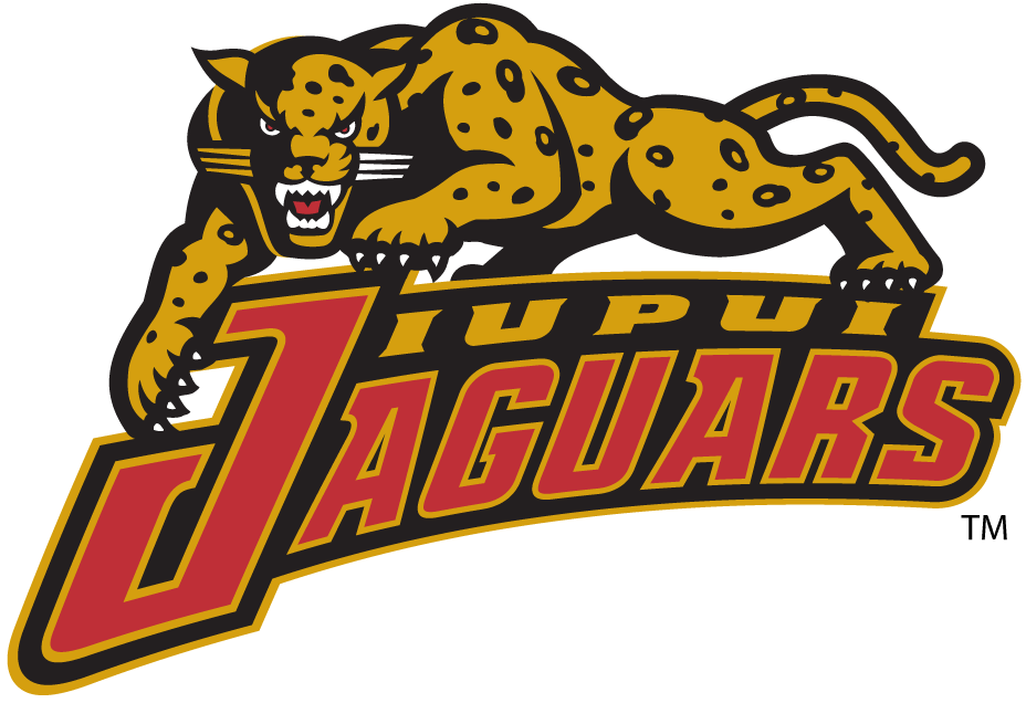 IUPUI Jaguars 2002-2007 Alternate Logo v3 iron on transfers for T-shirts